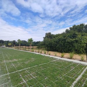 struttura per impianto vegetale per albero
