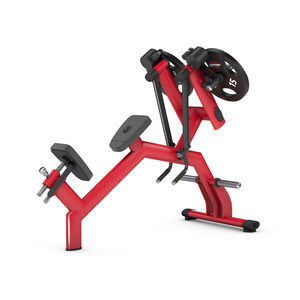 attrezzo per bodybuilding schiena 1