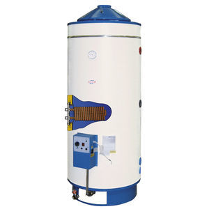 scaldacqua a gas