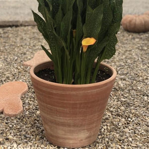 vaso da giardino in terracotta