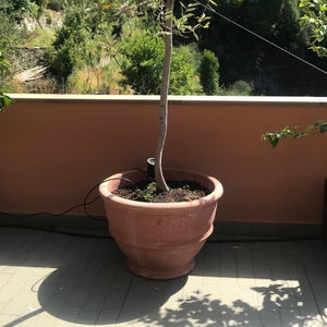 vaso da giardino in terracotta