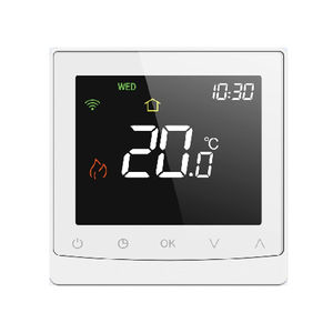 termostato digitale