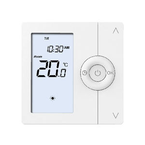 termostato digitale 1