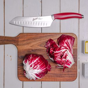 coltello da cucina con manico in plastica
