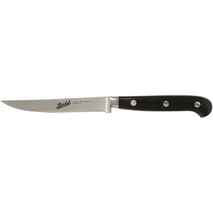 coltello da bistecca con manico in resina