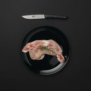 coltello da bistecca con manico in plastica
