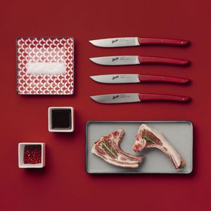 coltello da bistecca con manico in plastica