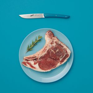 coltello da bistecca con manico in plastica