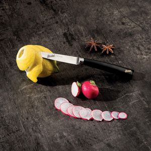 spelucchino con manico in resina