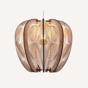 lampada a sospensione 1