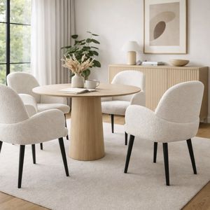 sedia da pranzo moderna