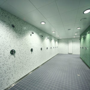pannello in PVC per soffitto 1