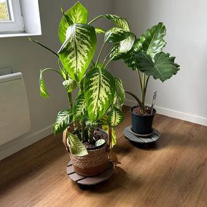 supporto per giardiniera da appoggio