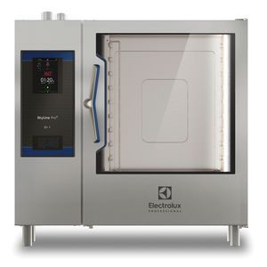 forno professionale