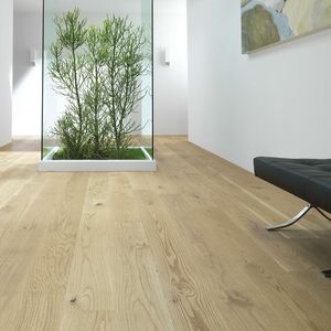parquet multistrato / da incollare / in quercia / verniciato