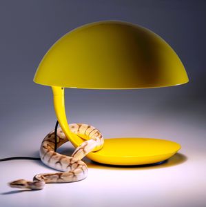 lampada da tavolo
