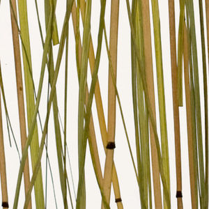 pannello decorativo per interni