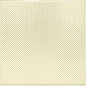 controsoffitto in PVC 1