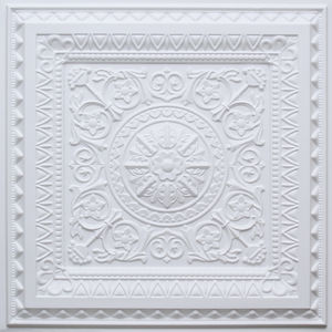 controsoffitto in PVC 1