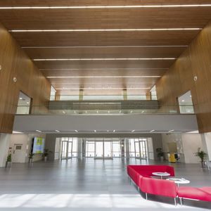 soffitto impiallacciato in legno