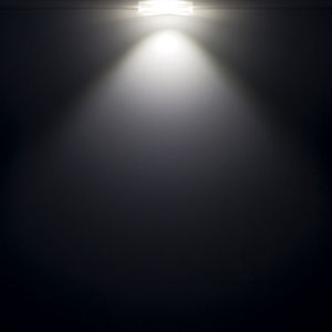 downlight sporgente