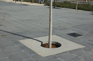 griglia per alberi in calcestruzzo / quadrata