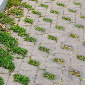 pavé in calcestruzzo
