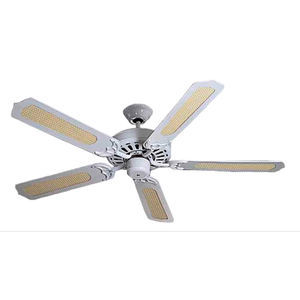 ventilatore a soffitto