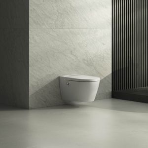 WC con doccetta integrata 1