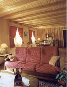 trave in legno lamellare 1