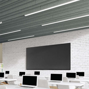 controsoffitto in PET 1