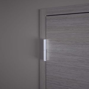 cerniera per porta 1