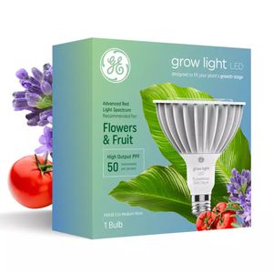 lampadina LED 1