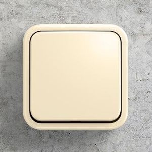 interruttore a pulsante