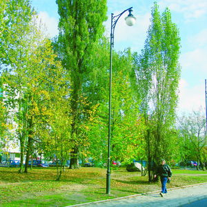 lampione urbano