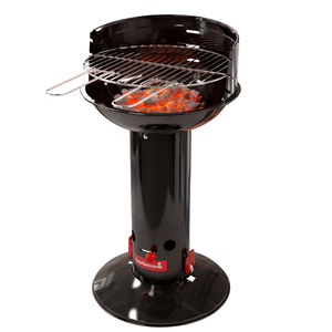 barbecue a carbonella