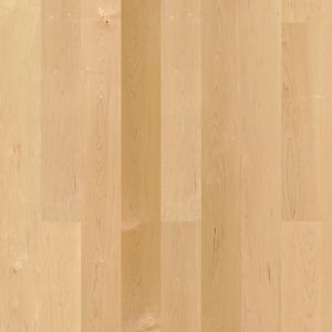 parquet multistrato / da incollare / in acero / a olio naturale