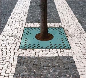 griglia per alberi quadrata 1