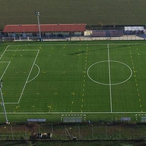 prato sintetico / in rotoli / per campo sportivo