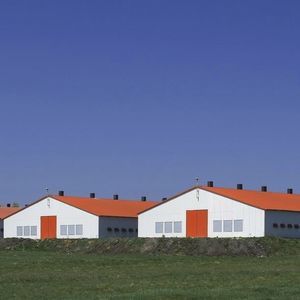 intonaco di protezione 1