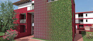 graticolato per giardino verticale