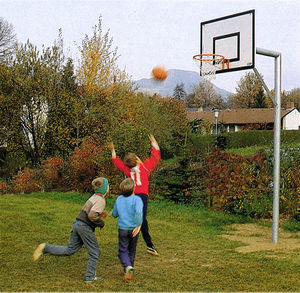 cestello da basket fisso