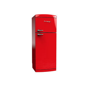 frigorifero combinato a 2 porte