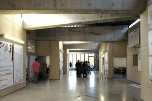 asse di legno per cassaforma in composito / per cassaforma a perdere