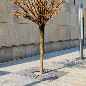 griglia per alberi quadrata