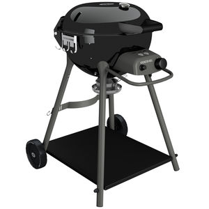 barbecue a gas 1
