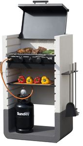 barbecue a gas