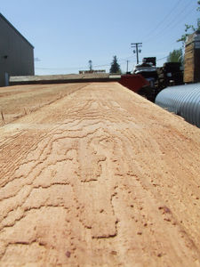 trave in legno