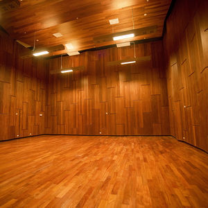 pannello acustico per soffitto