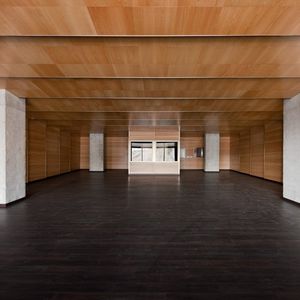 controsoffitto in legno / in pannelli / acustico / ignifugo